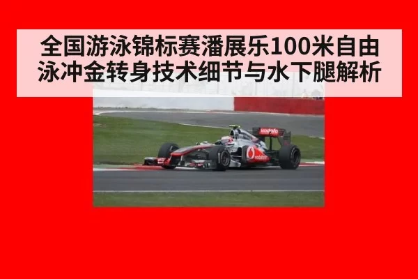 全国游泳锦标赛潘展乐100米自由泳冲金转身技术细节与水下腿解析